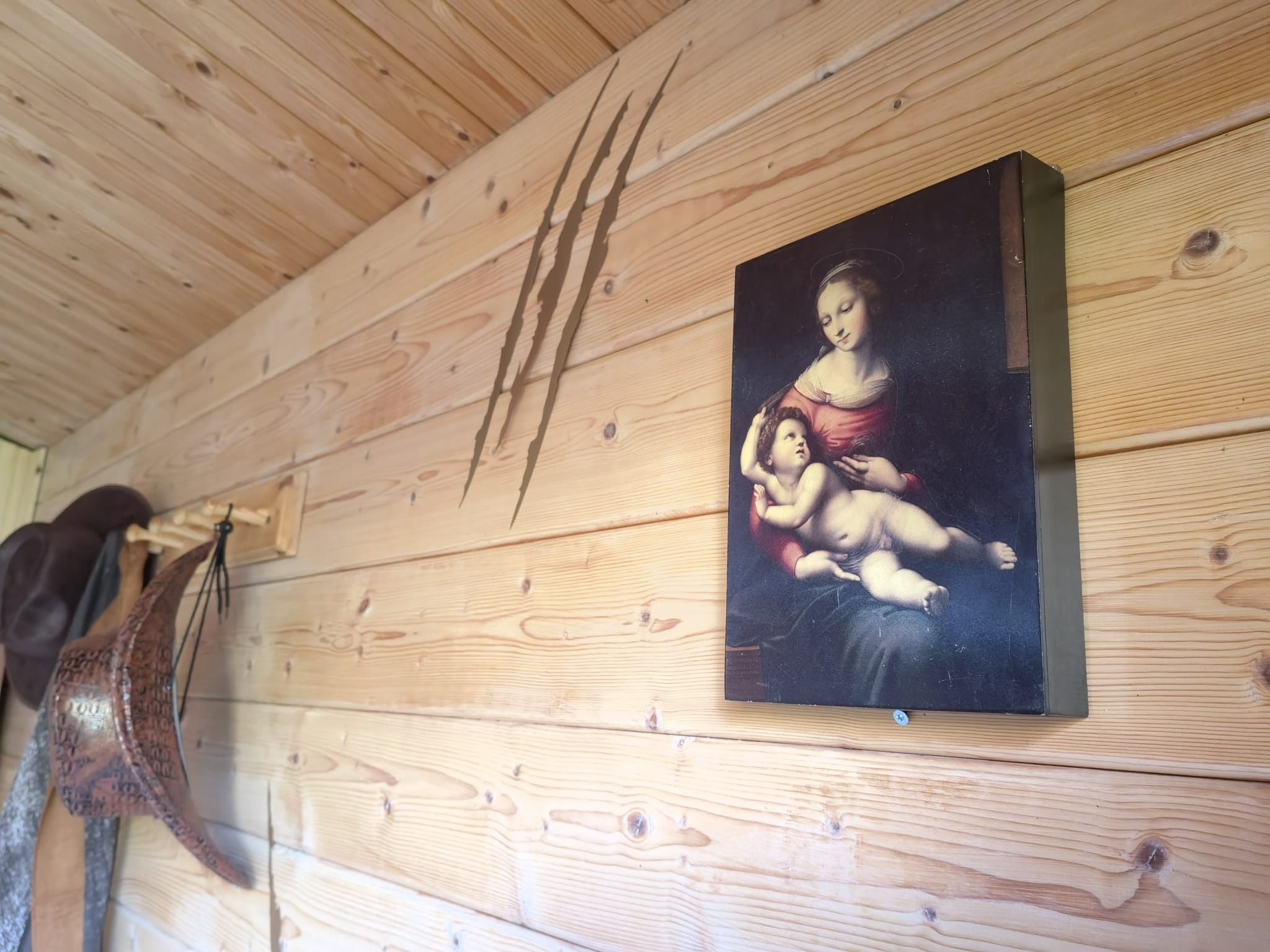 Inside the cabin (1)