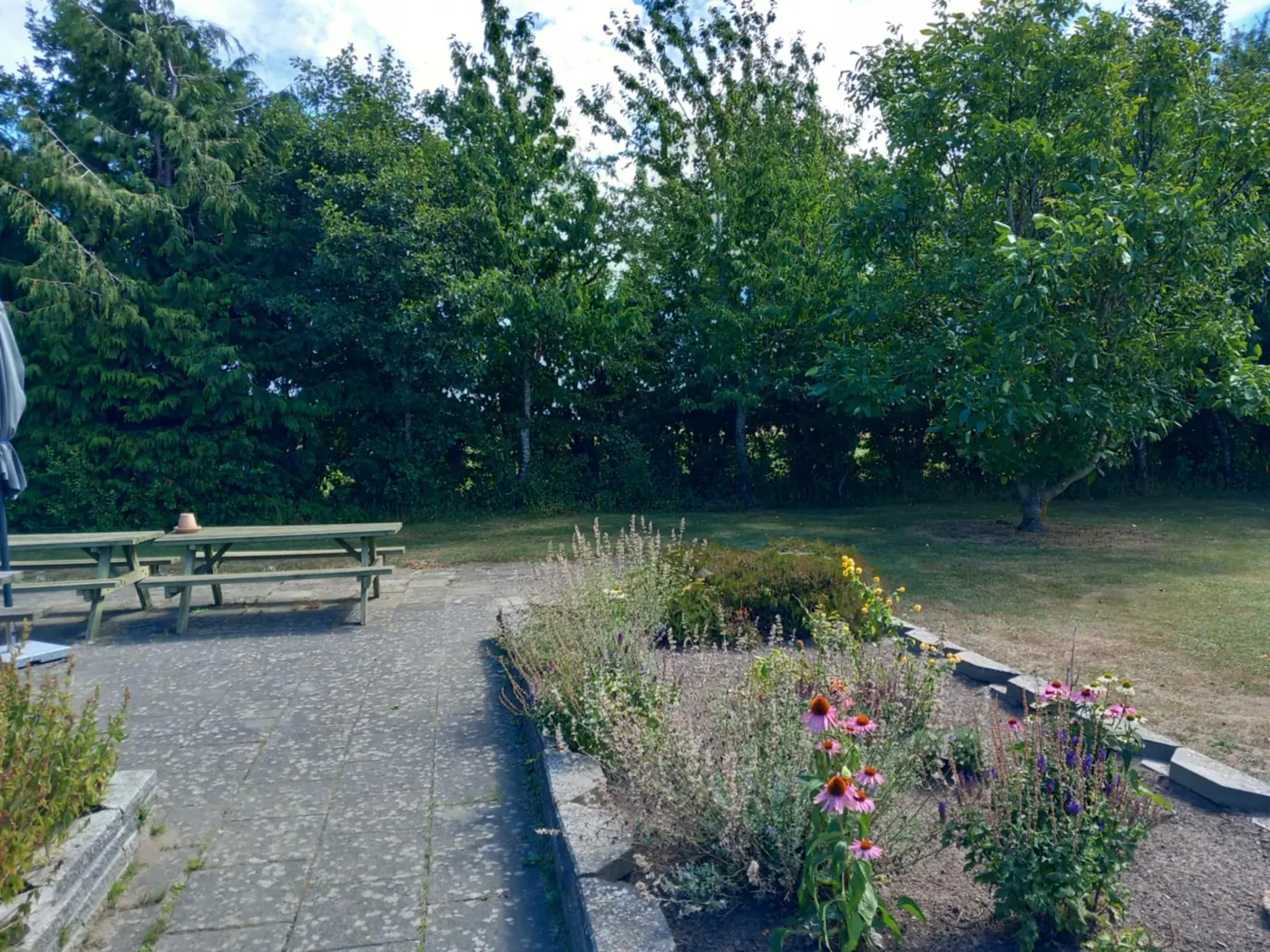 Rutsker Byhave community garden photo 8