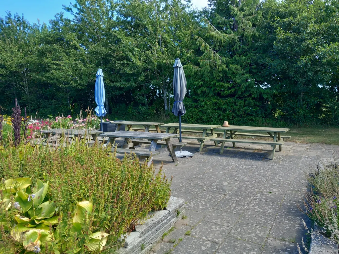 Rutsker Byhave community garden photo 9